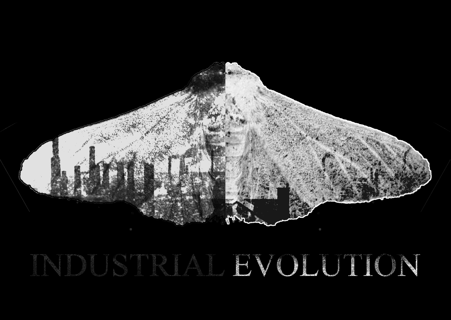 INDUSTRIAL EVOLUTION